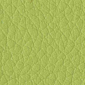 Lime C46