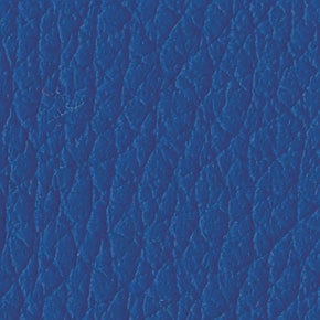 Blue C48