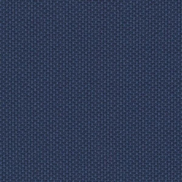 One 6017