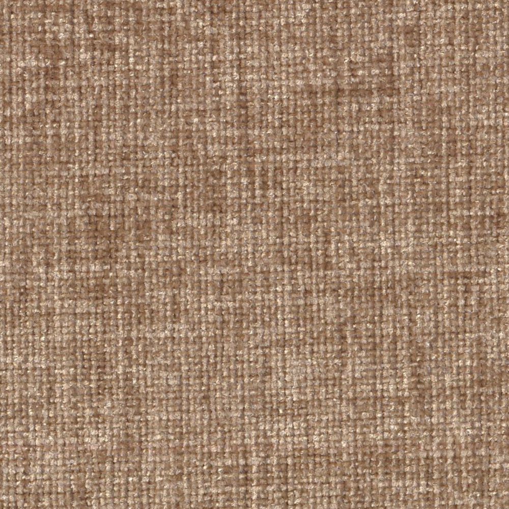 Marmotte C1 Maple